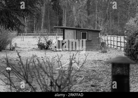 A grayscale shot of a quaint, small wooden house nestled in a wooded area surrounded by tall trees Stock Photo