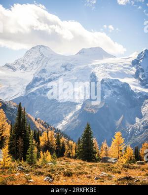 Glacier, Mounatins und Golden Larch, Britihs Columbia, Kanada Stockfoto