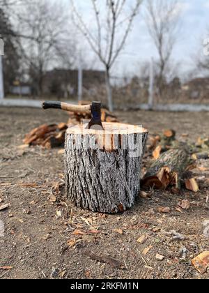 An axe stuck in a stump with in the forest with blur background Stockfoto
