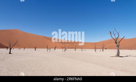 Ein malerischer Blick auf Deadvlei im Namib-Naukluft-Nationalpark in Namibia Stockfoto