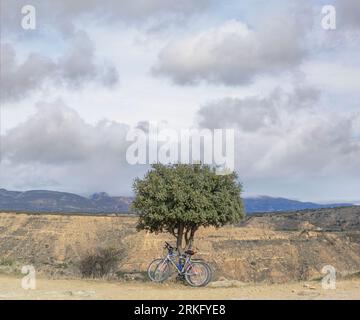Landscape of a lonely tree and two bicycles on a dirt floor and a cloudy sky in the town of Huesca Stockfoto