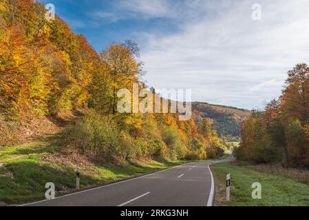 Landstraße durch Herbstwald im oberen Donautal, Naturpark obere Donau, Schwäbische Alb, Baden-Württemberg, Deutschland Stockfoto