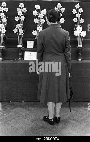 Flower Show 1960s UK. Die Royal Horticultural Society Blumenshow, eine prima und ordentliche ältere Frau mittleren Alters mit einem Regenschirm, betrachtet die preisgekrönte Narzisse. Westminster, London, England Mai 1968. HOMER SYKES Stockfoto