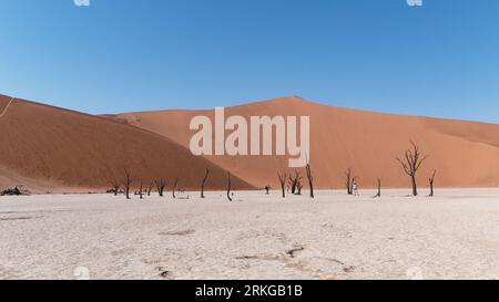Eine Luftaufnahme von Deadvlei im Namib-Naukluft-Nationalpark in Namibia an einem sonnigen Tag Stockfoto