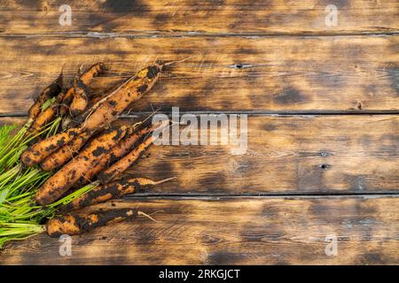 Dreckig im Boden frische Karotte liegt auf einem Holztisch Stockfoto