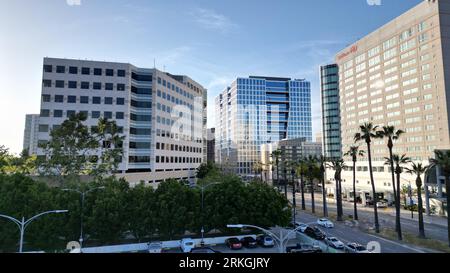 The modern office buildings and hotels overlooking a palm tree-lined street in San Jose, United States Stock Photo