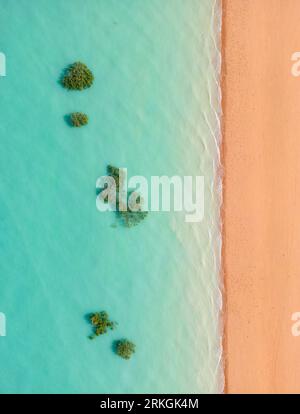 Eine Draufsicht auf Mangrove auf dem Wasser in Broome, Australien Stockfoto