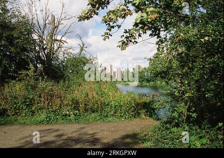 Walthamstow Wetlands, London UK, im Sommer mit Blick auf Walthamstow Stauseen, mit neuen Wohnungen in der Ferne Stockfoto