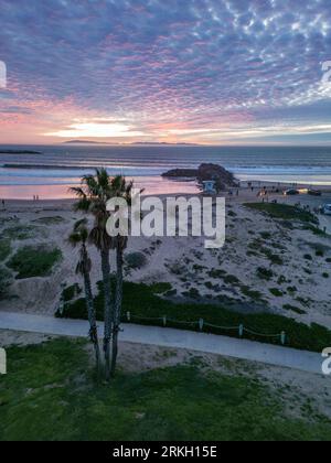 A picturesque tropical beach with pristine white sand and lush green palm trees Stockfoto