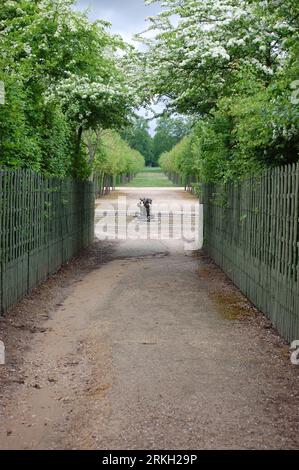 A scenic pathway meandering through a lush green park, lined with trees Stock Photo