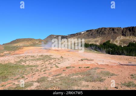 Karge Landschaft mit heißen Quellen, die von geothermischen Fumarolen in Island stammen. Stockfoto