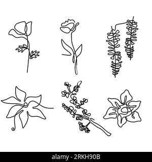 Continuous line drawing of set of different flowers such as sakura, tulip, camellia, azalea etc. Beautiful blossoming natural floral symbol of spring Stock Vektor