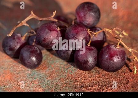 Ein Haufen frischer violetter Trauben auf einem hölzernen Hintergrund, Details, Makrofotografie, Nahaufnahme Stockfoto