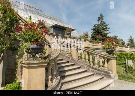 Mainau, Deutschland, 20. Juli 2023 schöne Plantagen in einem botanischen Garten Stockfoto