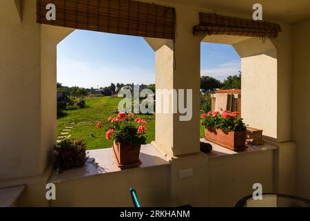 Ländlicher Garten mit Geranienblüten auf der Fensterbank im Vordergrund, Ungarn Stockfoto