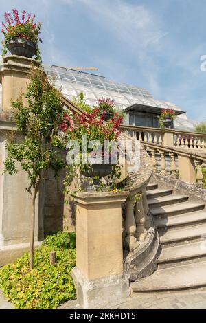 Mainau, Deutschland, 20. Juli 2023 schöne Plantagen in einem botanischen Garten Stockfoto