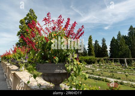 Mainau, Deutschland, 20. Juli 2023 schöne Plantagen in einem botanischen Garten Stockfoto