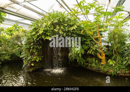 Mainau, Deutschland, 20. Juli 2023 kleiner See im Tropenhaus Stockfoto