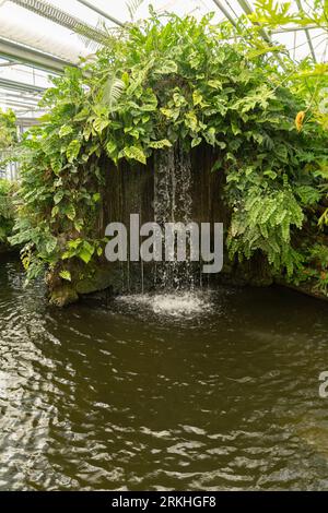 Mainau, Deutschland, 20. Juli 2023 kleiner See im Tropenhaus Stockfoto