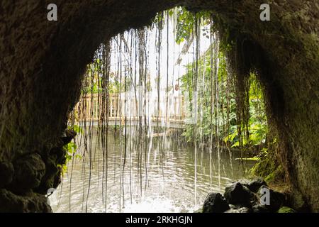 Mainau, Deutschland, 20. Juli 2023 kleiner See im Tropenhaus Stockfoto