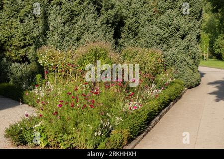 Mainau, Deutschland, 20. Juli 2023 schöne Plantagen in einem botanischen Garten Stockfoto