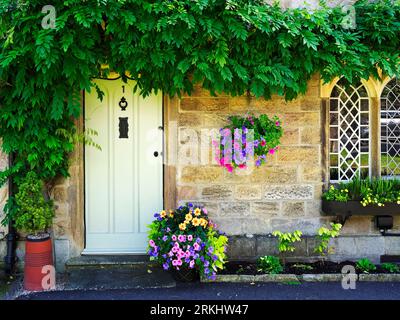 Haus bedeckt mit einem Kriechgang mit Sommerblumen draußen im Ripley North Yorkshire England Stockfoto