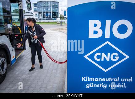 Rostock, Deutschland. August 2023. Susann Klier führt den Tankschlauch zum Betanken mit Biomethan in den Tankschacht eines Stadtbusses im neuen Depot der Rostocker Straßenbahn AG (RSAG) ein. Nach sechsmonatiger Umbauarbeit wurde der Standort für Linienbusse für alternative Antriebssysteme angepasst. Die Busse können mit elektrischer Energie und Biomethan betankt werden, und es ist geplant, in den nächsten Jahren schrittweise alle Busverbindungen auf klimafreundliche Antriebssysteme umzustellen. Quelle: Jens Büttner/dpa/Alamy Live News Stockfoto