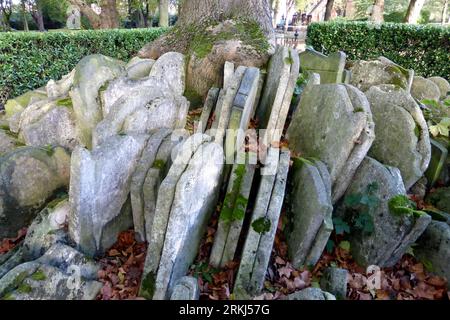 Der Hardy Tree in St. Alte Kirche Von Pancras. Eine Esche, die von hunderten sich überschneidenden Grabsteinen umgeben ist, die von dem Dichter Thomas Hardy aufgestellt wurden. Stockfoto