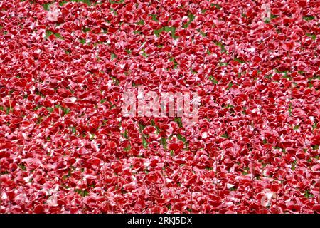 London, UK, Keramik-Mohnblumen im Tower of London Moat. Stockfoto