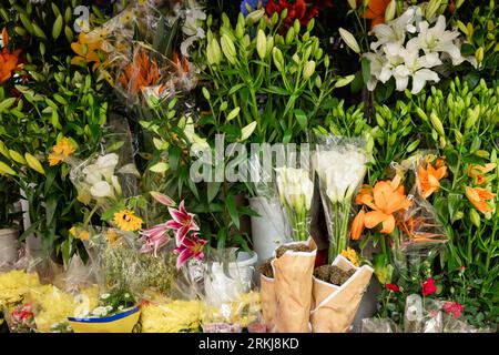 Im Sommer können Pflanzen und Blumen in einem Blumengeschäft im Freien in Rom, Italien, verkauft werden Stockfoto