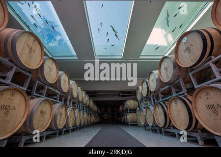 (230825) -- IZMIR, Aug. 25, 2023 (Xinhua) -- This photo taken on Aug. 23, 2023 shows barrels of wine in Urla town, Izmir province, T¨¹rkiye.  The Aegean region of T¨¹rkiye is a wine lover's paradise. With its idyllic climate and terrain perfectly suited for winemaking, the region is home to more than half of the country's wine production.    TO GO WITH 'Feature: T¨¹rkiye's Aegean vineyards attract wine lovers across world' (Mustafa Kaya/Handout via Xinhua) Stock Photo