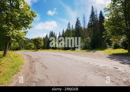 Die alte Straße führt durch eine friedliche Landschaft. Ruhige Reise durch die malerische bewaldete Gegend der karpaten im Sommer. Stockfoto