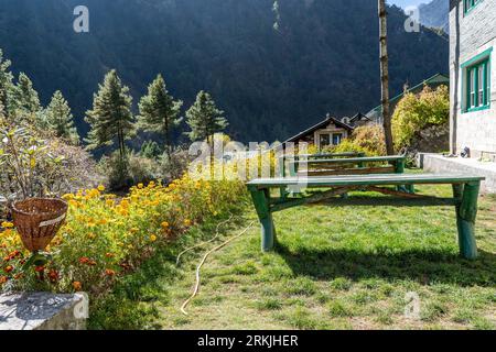 A closeup of a wooden table near the house surrounded by forest on a sunny day Stock Photo