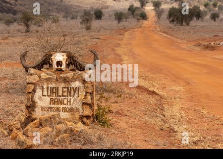 Lualenyi Ranch, Taita Hills, Kenia, Afrika Stockfoto