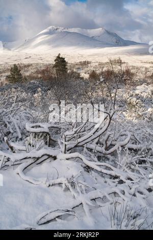 Winterbedingungen in Torridon, West Highlands of Scotland, UK Stockfoto