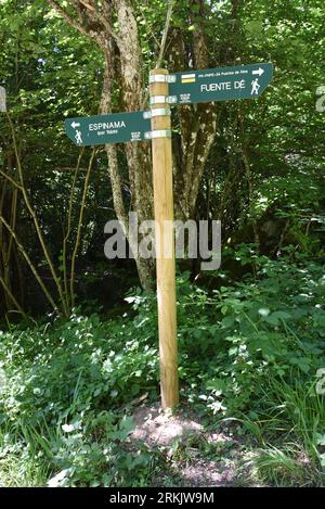 Wegweiser in den Wäldern auf dem Weg von El Cable / Hotel Aliva nach Fuente de in den Picos de Europa. Zeigt Fuente De, Espinama, Tobin An. Stockfoto