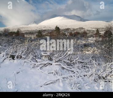 Winterbedingungen in Torridon, West Highlands of Scotland, UK Stockfoto