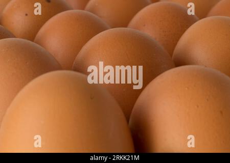 Rohe braune Eier Makro bei natürlichem Licht Stockfoto