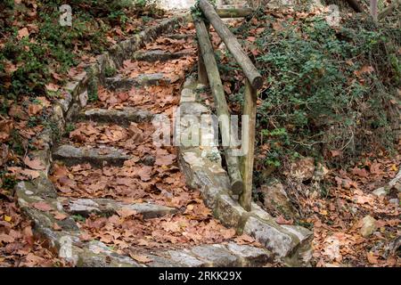 Treppen bedeckt mit trockenen Blättern im Preventorio de Alcoy, Spanien Stockfoto