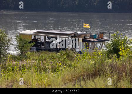 Batina, Kroatien. August 2023. Das Schiff Liberty im Besitz von Liberland legte am Ufer der Donau bei Batina, Kroatien, am 24. August 2023 an. Liberland, auch als Freie Republik Liberland bekannt, ist eine unerkannte Mikronation in Südosteuropa, die ein unbewohntes Grundstück am Westufer der Donau zwischen Kroatien und Serbien beansprucht. Es wurde am 13. April 2015 von einem euroskeptischen Politiker aus der Tschechischen Republik, Vit Jedlicka, proklamiert. Foto: Davor Javorovic/PIXSELL Credit: Pixsell/Alamy Live News Stockfoto