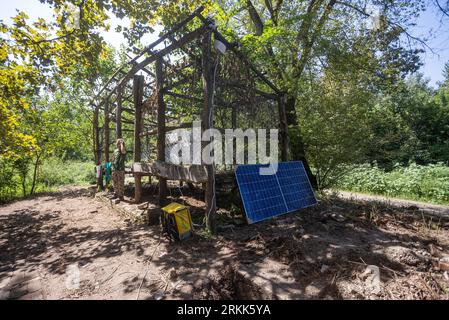 Batina, Kroatien. August 2023. Citizens of Liberland bereitet sich am 24. August 2023 in der Nähe von Batina, Kroatien, auf die Arbeit vor. Liberland, auch als Freie Republik Liberland bekannt, ist eine unerkannte Mikronation in Südosteuropa, die ein unbewohntes Grundstück am Westufer der Donau zwischen Kroatien und Serbien beansprucht. Es wurde am 13. April 2015 von einem euroskeptischen Politiker aus der Tschechischen Republik, Vit Jedlicka, proklamiert. Foto: Davor Javorovic/PIXSELL Credit: Pixsell/Alamy Live News Stockfoto