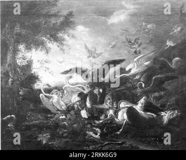 Wild und Geflügel zwischen 1630 und 1703 von Carl Borromäus Andreas Ruthart Stockfoto