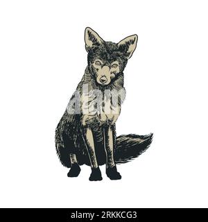 Fox Vintage gravierte Illustration. Hand gezeichneter Fuchs isoliert auf weißem Hintergrund. Niedliches Waldtier im alten Retro-Stil für Stempel, T-Shirt oder Typ Stock Vektor