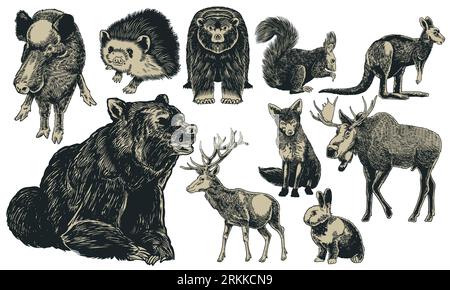 Animals of Europe hand drawn set vintage engraving. Kangaroo, hedgehog, fox, moose, deer, bear, rabbit, squirrel, boar isolated on white. Vector art i Stock Vector