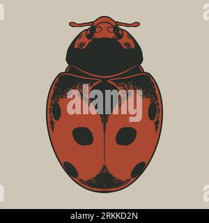 Vector antique engraving drawing illustration of ladybug (coccinellidae). Ladybird freehand linear dark orange ink color hand drawn picture logo sketc Stock Vector