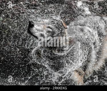 Alles Hat Aufgewühlt Stockfoto