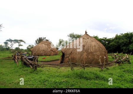 Bildnummer: 56234694  Datum: 31.10.2011  Copyright: imago/Xinhua (111031) -- MBARARA, Oct. 31, 2011 (Xinhua) -- A traditional homestead of the Bahima pastoral tribe is seen in the western Ugandan district of Mbarara, Oct. 15, 2011. The traditional homestead was built in Lake Mburo National Park as a tourist attraction inspired by Uganda Wildlife Authority s move to conserve the Ankole long horned cattle and its cultural heritage among the locals here. The Bahima used to stay in grass thatched houses but in the modern era, many of them have changed and now live in iron or tile roofed houses. Th Stock Photo