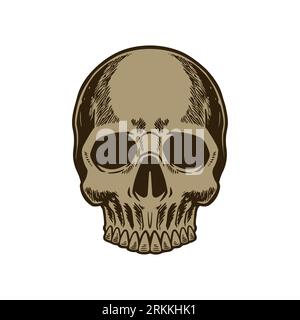 Vintage scary skull of human with lower jaw hand drawn engraved style. Terrible skull for halloween. Skeleton head anatomy in old retro etching style. Stock Vector