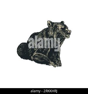 Grizzly Bär handgezeichnet Gravur im Vintage-Stil. Wilder Bär in alter Skizze isoliert auf weißem Hintergrund. Modischer Tiercharakter. Vektor-Gravur illus Stock Vektor