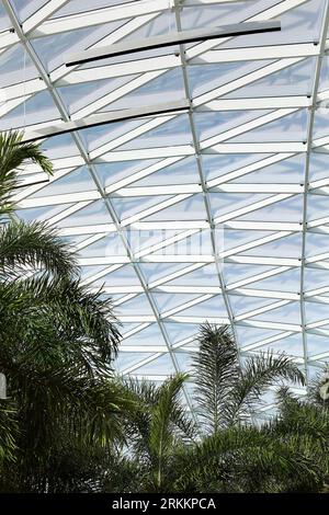 Skylight with palm trees. 360 Mall, Kuweit City, Kuwait. Architect: CRTKL, 2021. Stock Photo